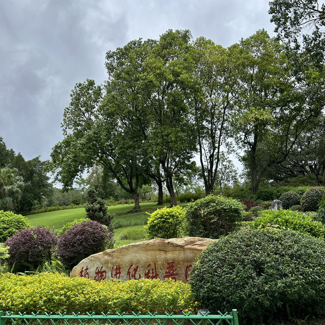 不在泰國！在東莞植物園