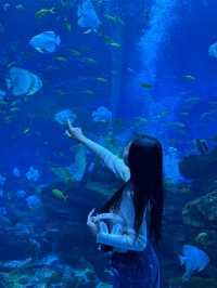 啊啊啊啊啊啊我點解依家先嚟鄭州海昌海洋公園啊