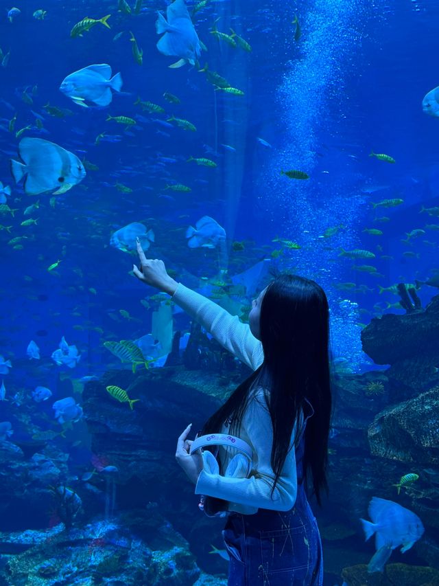 啊啊啊啊啊啊我點解依家先嚟鄭州海昌海洋公園啊