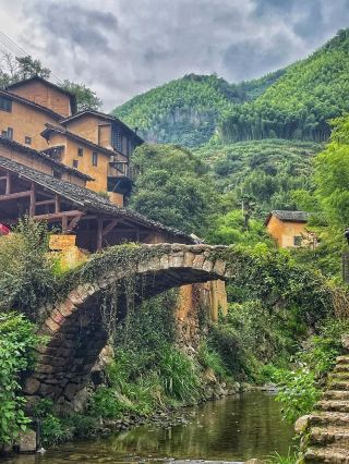 Lost in Lishui's Green Wonderland: Embracing the Slow Life