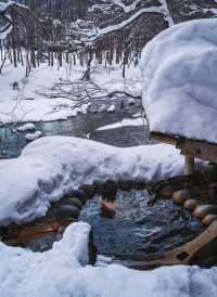 森林雪地溫泉Ⅰ北海道超火銀婚湯入住指南
