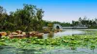 長春北湖公園旅遊攻略：