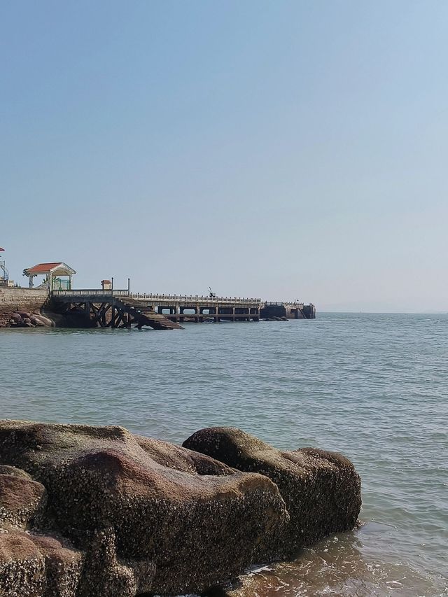 廈門-鼓浪嶼-福建土樓探秘 解鎖古鎮風情新姿態