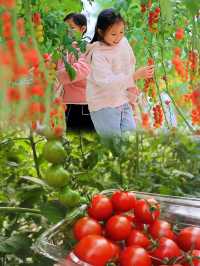 【春日限定】賞花摘果，一秒get仙女感！