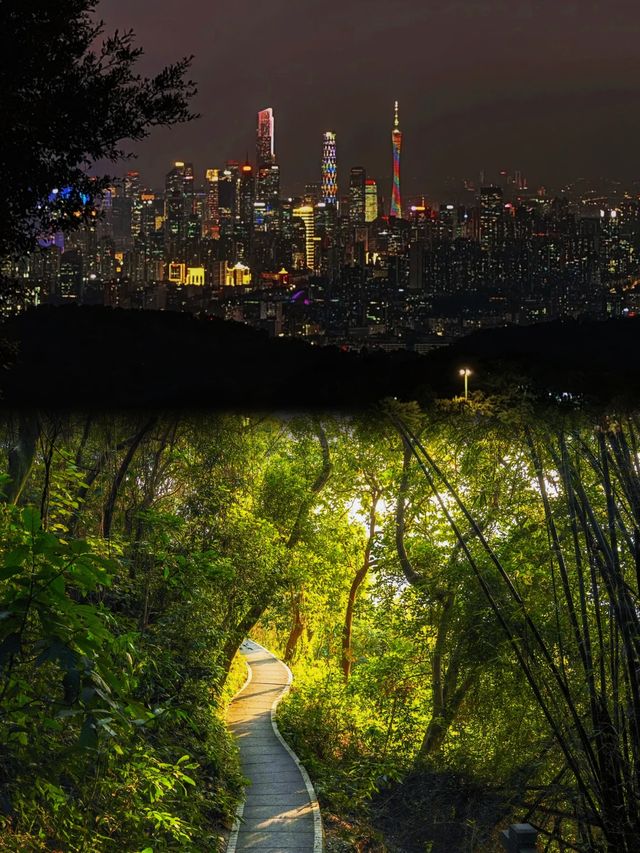 雲深不知處，人在畫中遊
