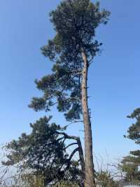 7日探秘江西南昌-廬山-婺源 邂逅國家地理級山水風光