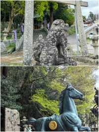 對馬市旅遊攻略