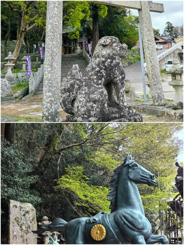 對馬市旅遊攻略