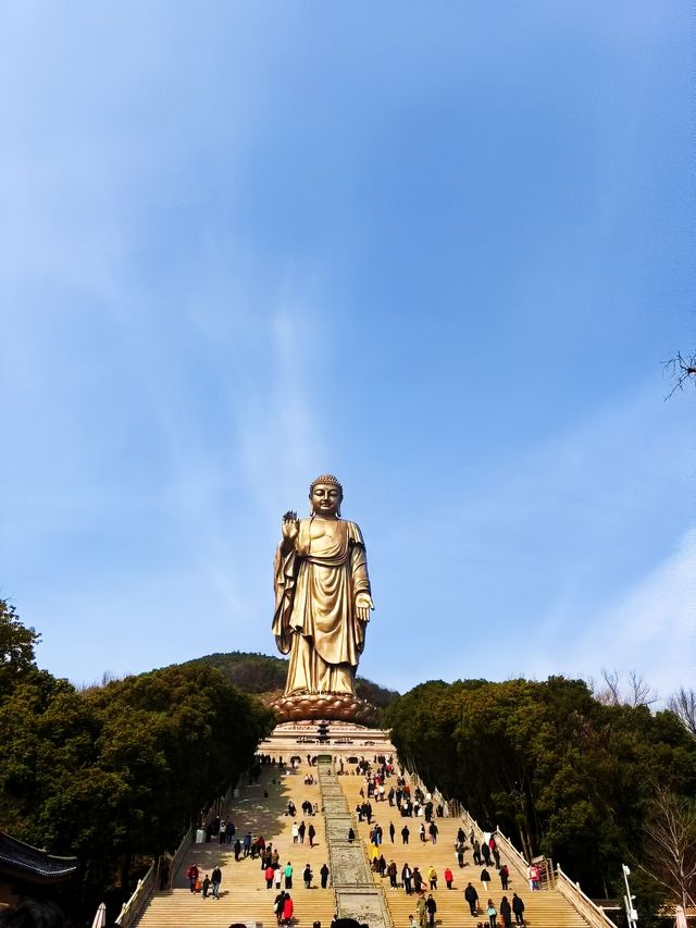 靈山大佛 | 心靈歸處，春日祈願之旅