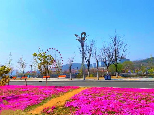 青島「失落」景區，曾耗資180億打造