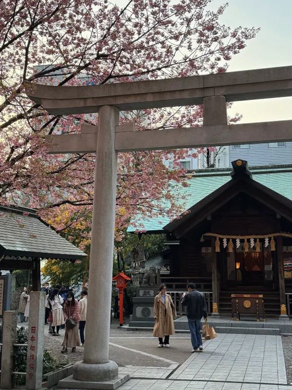 3月東京の新宿御苑と蔵前神社を訪れました🌸