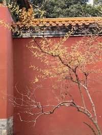 南京,一座沉澱著歷史的現代化都市