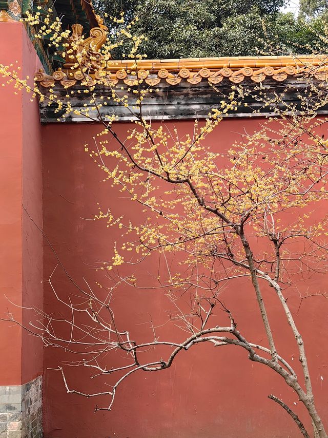 南京,一座沉澱著歷史的現代化都市 南京,一座沉澱著歷史的現代化都市