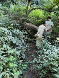 ⛰️深山里的九層妖塔別迷路！