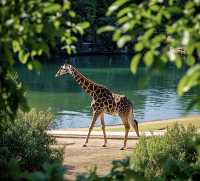 去萊比錫動物園怎麼玩？