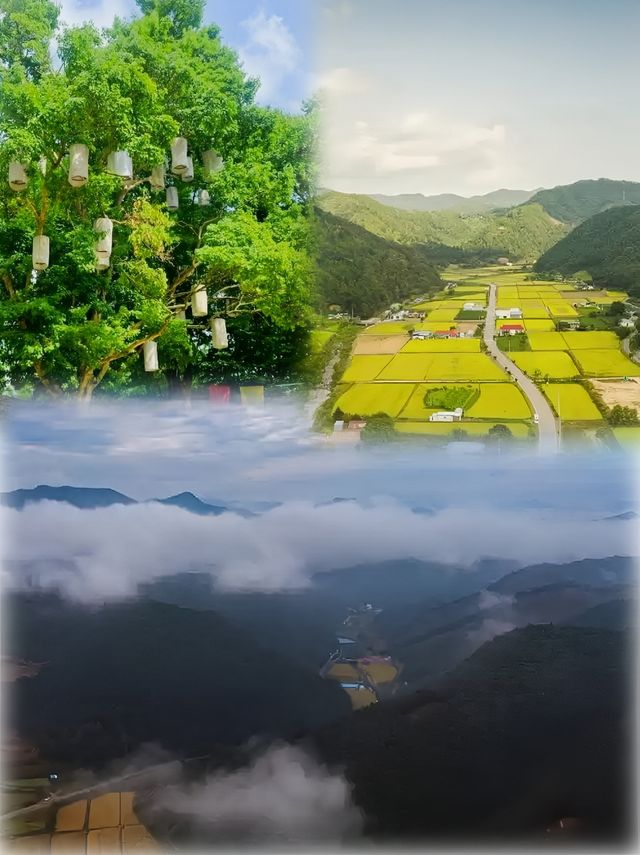 洪川綺夢：兩日雕琢的韓韻時光