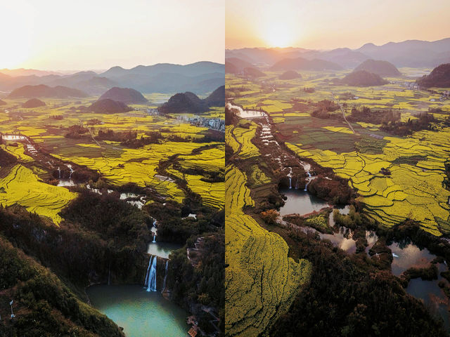 墜入金色海洋·雲南羅平油菜花