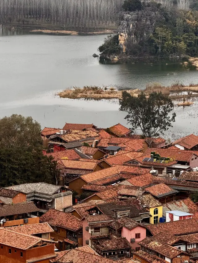 A super cost-effective guide for a spring trip to Kunming and other places is here!