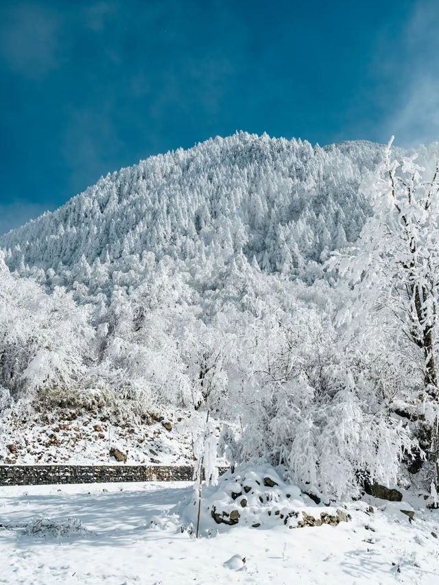 6日暢遊雅安-甘孜解鎖藏地風情 玩轉熱門美景