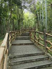 5日遊玉溪等地清明時節理想旅行時光