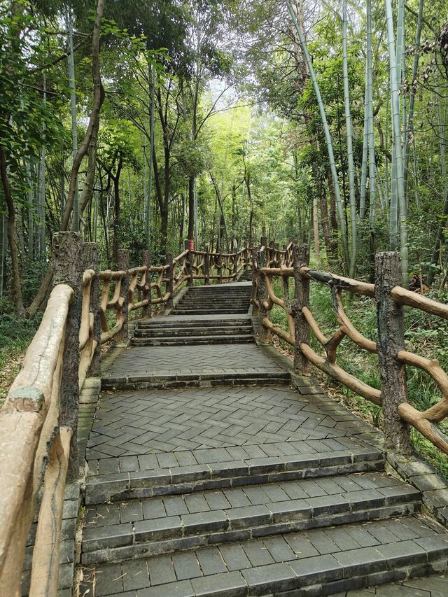5日遊玉溪等地清明時節理想旅行時光