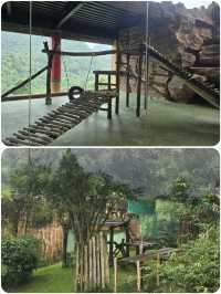 茂物野生動物園及周邊：雅加達人的週末玩樂寶典！
