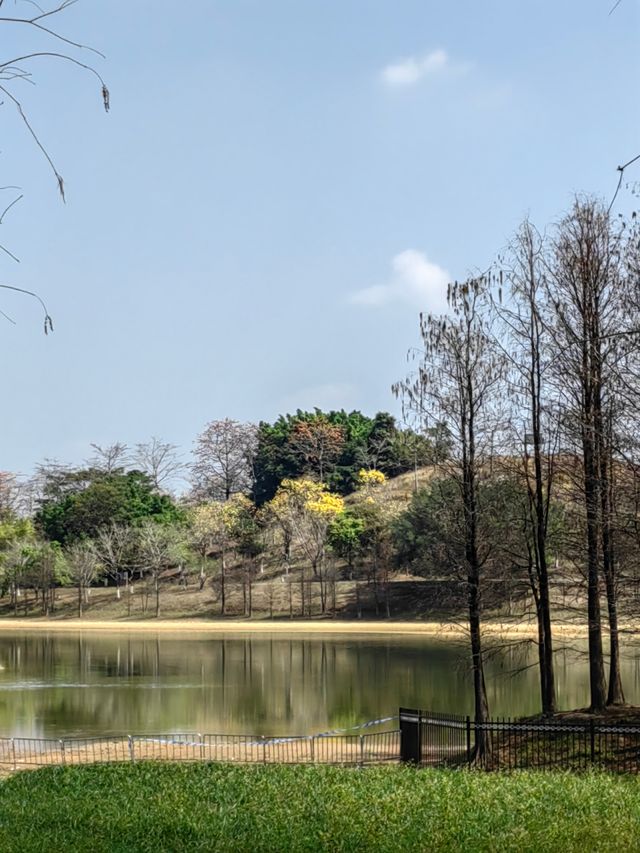 被松山湖洗版了
