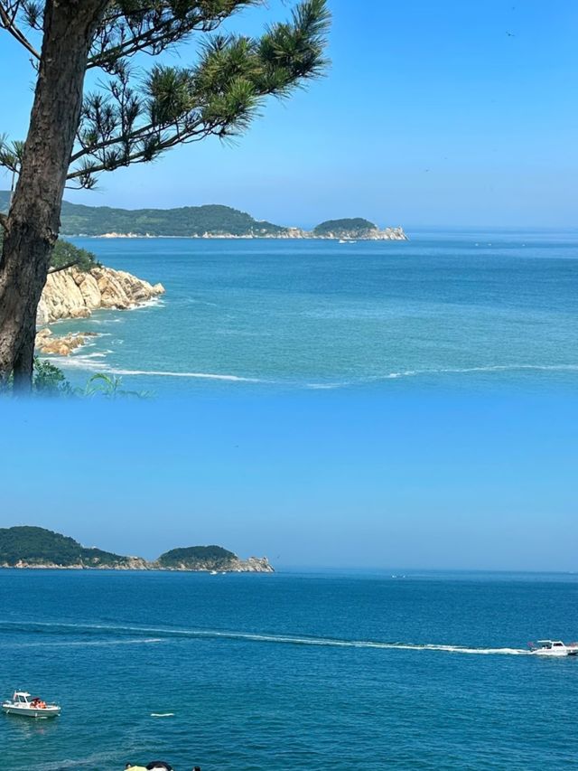 山東威海已回歸！真的不建議這個月去！因為……