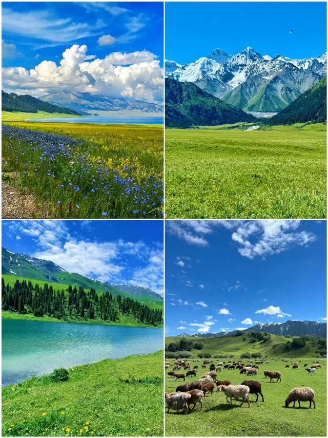 Yili in spring is a fairytale world in every frame.