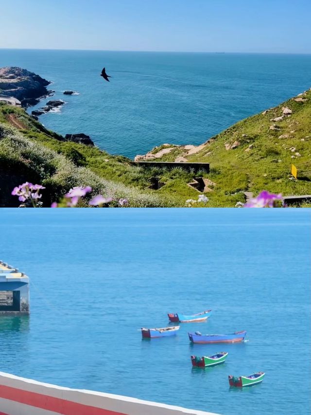 與其去新西蘭，不如去CP值更高的花鳥島！！！