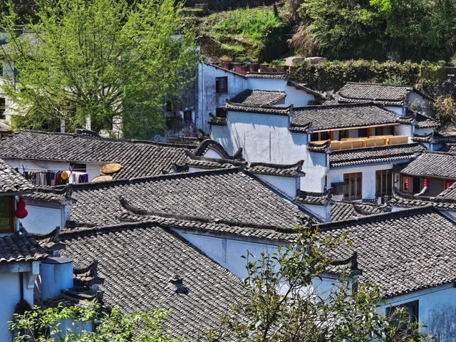 2024年4月10日帶父母去春遊（歙縣）