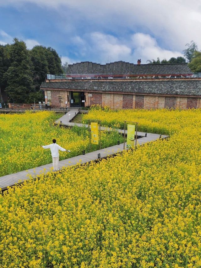 嘩！我竟然搵到現實版嘅《莫奈花園》~~