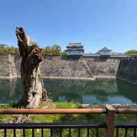 🌸穿越時光的大阪城公園之旅，超詳細攻略奉上