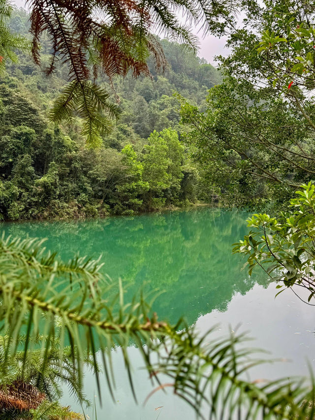 秘境探幽——中山五桂山，藏於城市的綠野仙蹤