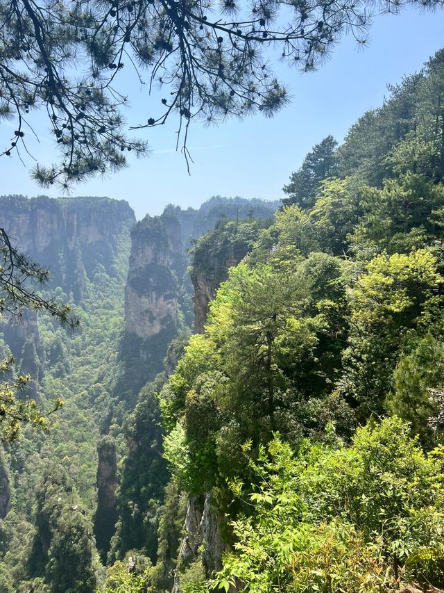 奇峰入畫‧雲海滌心：張家界國家森林公園的仙俠秘境之旅