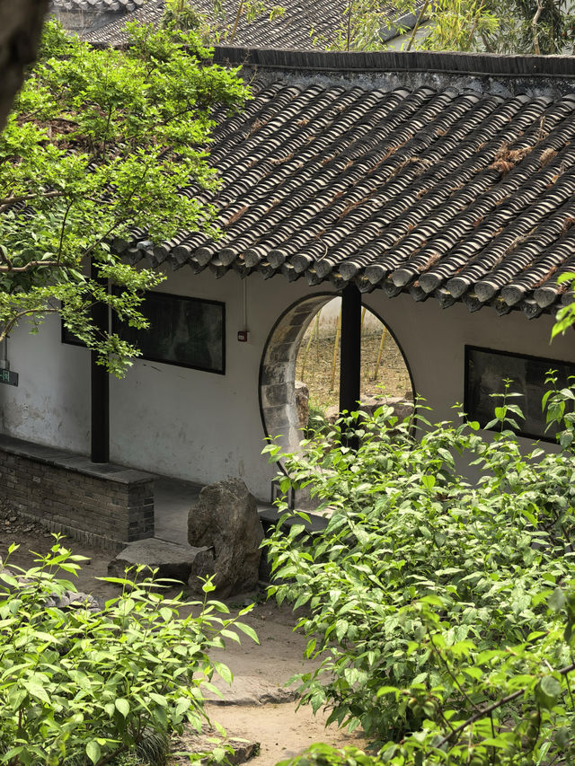 揚州旅遊旺季的「清場」秘笈：揭秘小眾路線，拍出無人美景！