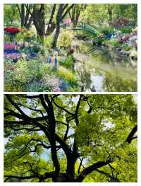 上海人嘅私藏！共青森林公園春天嘅王炸路線，錯過咗要等一年！