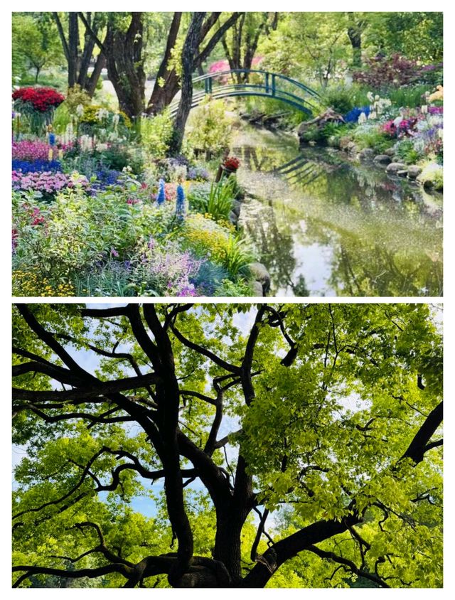上海人嘅私藏！共青森林公園春天嘅王炸路線，錯過咗要等一年！