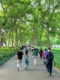 去杭州旅遊，推薦條西湖徒步路線