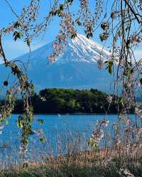 東京出發，懶人富士山網紅打卡攻略