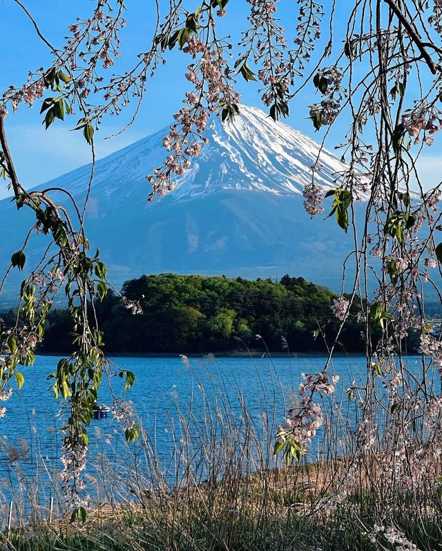 東京出發，懶人富士山網紅打卡攻略