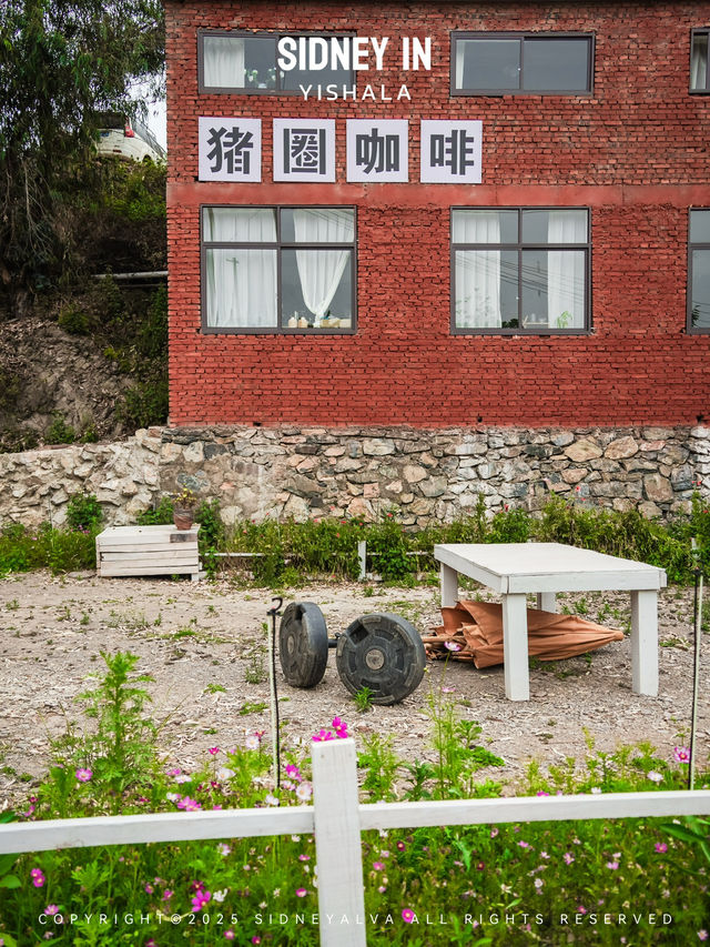 天文台✖️廢墟花海，川滇交界的隱世彝寨等你解鎖！