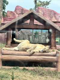 蒙自動物園｜親子好去處