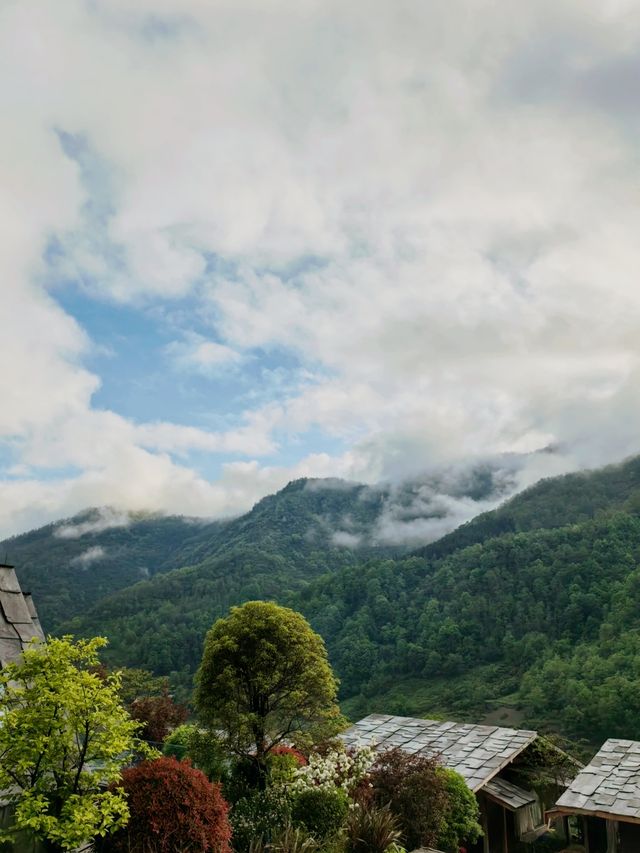 一間住落好舒服嘅山間民宿