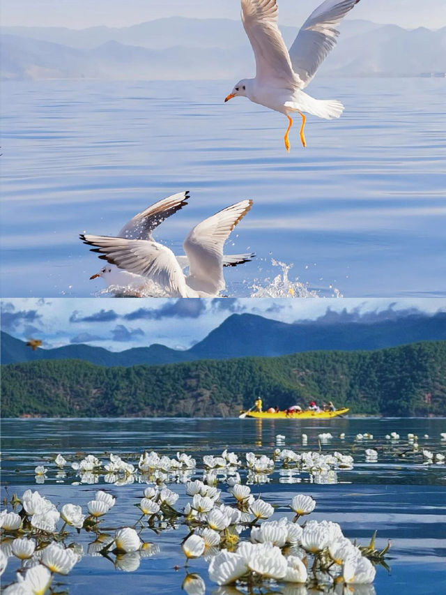 瀘沽湖｜闖入摩梭秘境，48小時慢生活指南