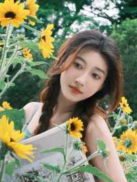 救命！在深圳撞進了向日葵的盛夏時光🌻每一幀都像被陽光吻過的浪漫畫報！