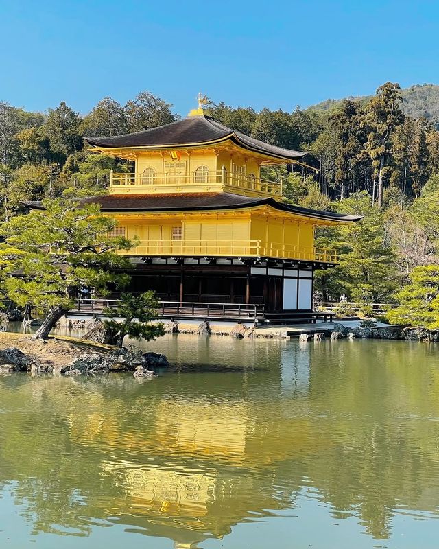 京都必遊TOP4，初次到訪必看的經典景點