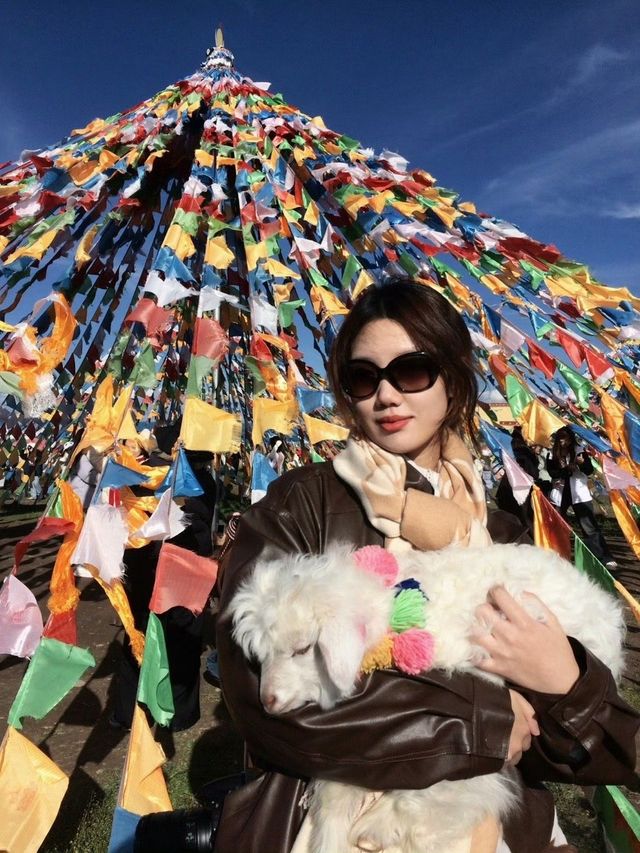 暑期勇闖大西北2-8人純玩小包團攻略