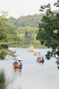去西湖一定要試下西湖遊船