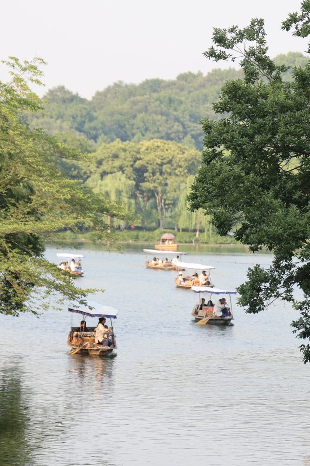 去西湖一定要試下西湖遊船